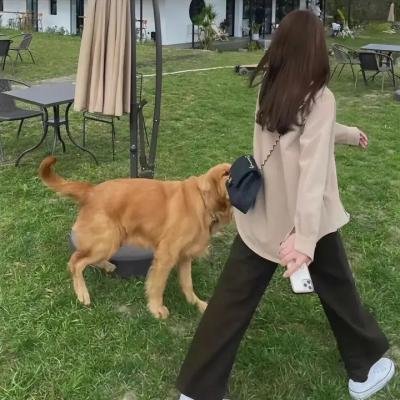 银河宝贝
